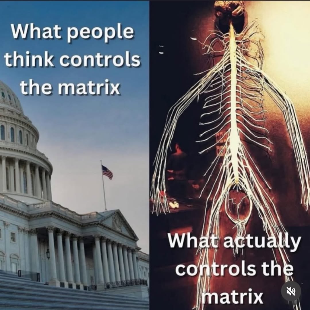 What people 2 think controls the matrix к ANY What cohtrols И atrix