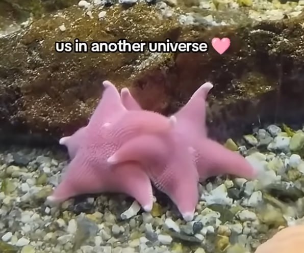 usin another universe