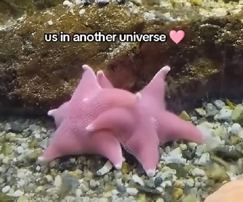 usin another universe