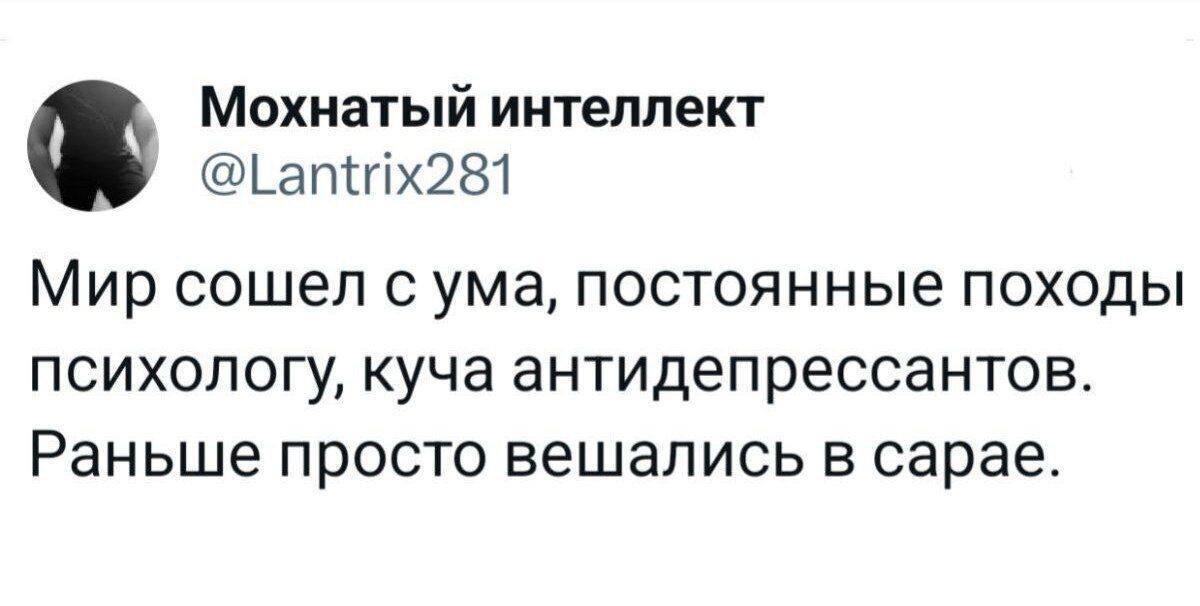 Мохнатый интеллект Мир сошел с ума, постоянные походы психологу, куча антидепрессантов. Раньше просто вешались в сарае.