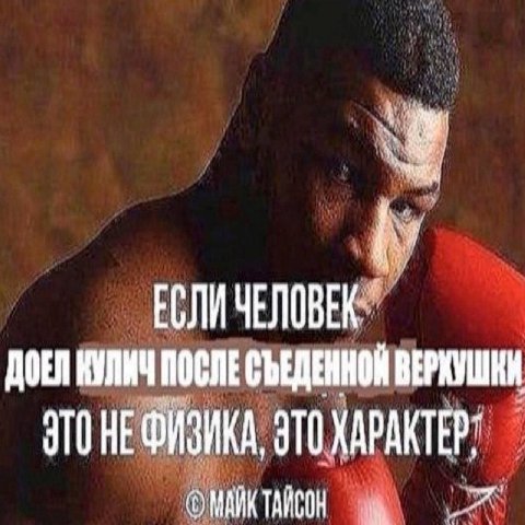 ДОЕЛ КУЛИЧ ПОСЛЕ СЪЕДЕННОЙ ВЕРХУШКИ ЗТОНЕФИЗИКА, ЭТО ХАРАКТЕР" я