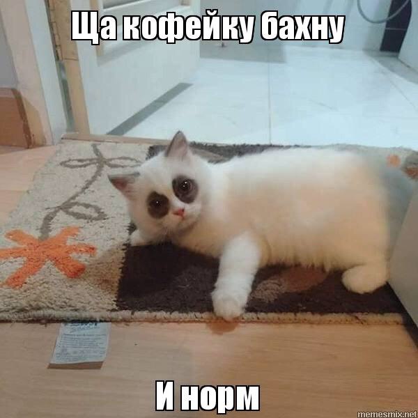 Щакофейку бахну