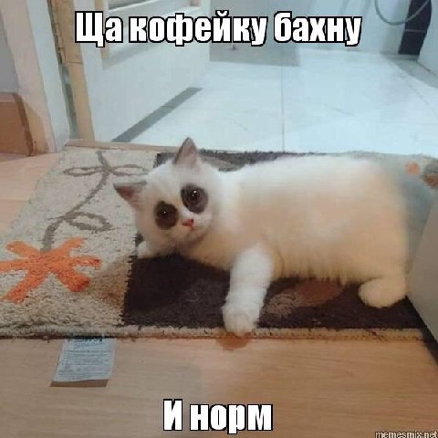 Щакофейку бахну