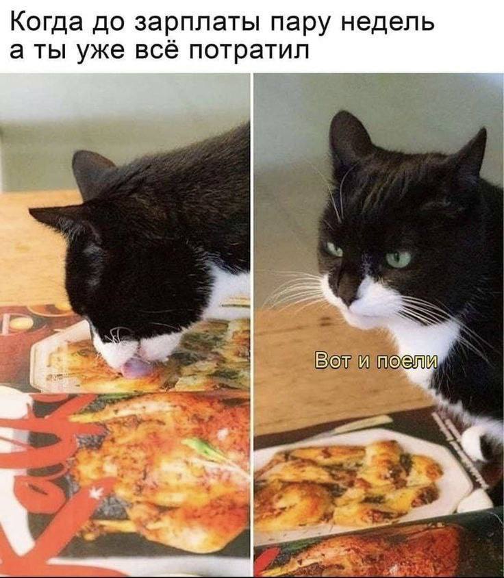 Когда до зарплаты пару недель а ты уже всё потратил Воти
