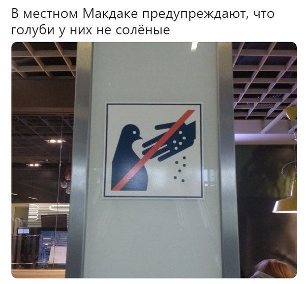 В местном Макдаке предупреждают, что голуби у них не солёные