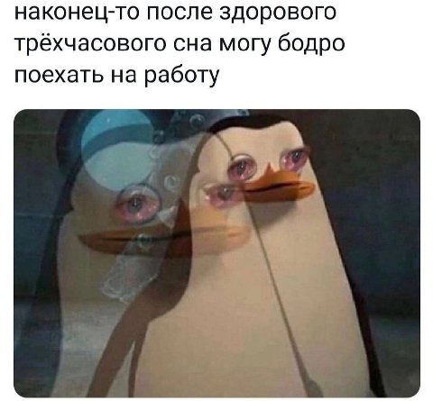 наконец-то после здорового трёхчасового сна могу бодро поехать на работу А