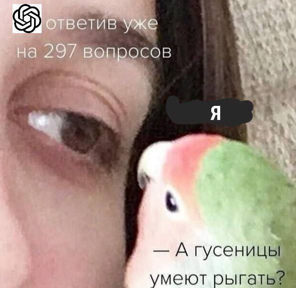 ответив уже на 297 вопросов А гусенй меют