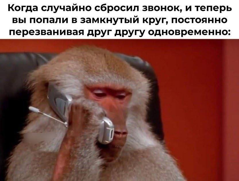 Когда случайно сбросил звонок, и теперь вы попали в замкнутый круг, постоянно перезванивая друг другу одновременно: