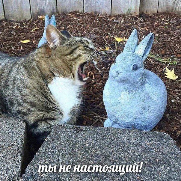 4 Я AN А aN a be we и у A at He У we