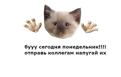 бууу сегодня понедельник!!! отправь коллегам напугай