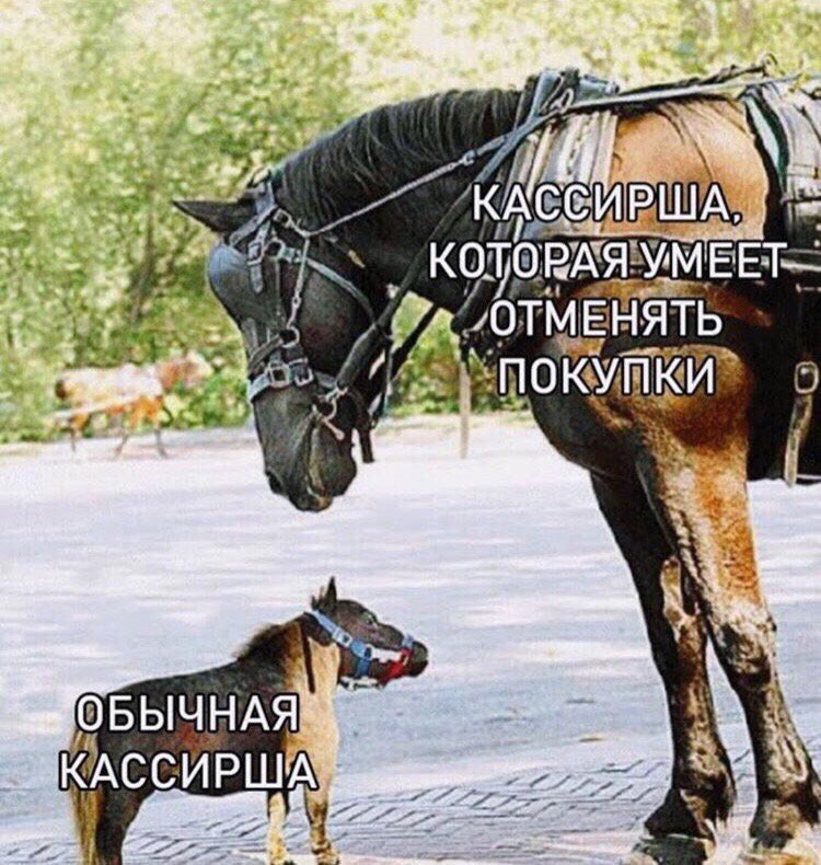 КОТОРАЯУМЕЕТ- Poa ОТМЕНЯТЬ 9 afl i) 3 ОБЫЧНАЯ 3 7 к.