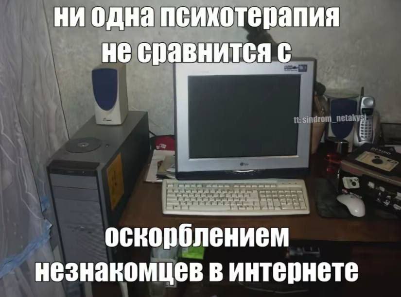 ни одна психотерапия не сравнится с оскорблением незнакомцев в интернете