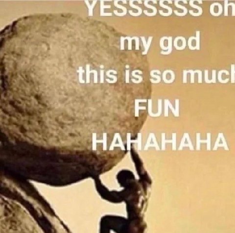 ON my god this is so mucl FUN