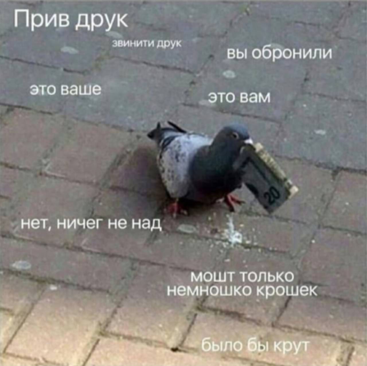 Прив друк звинити друк вы обронили это ваше это вам нет, ничег не над MOLUT только немношко крошек в Крут