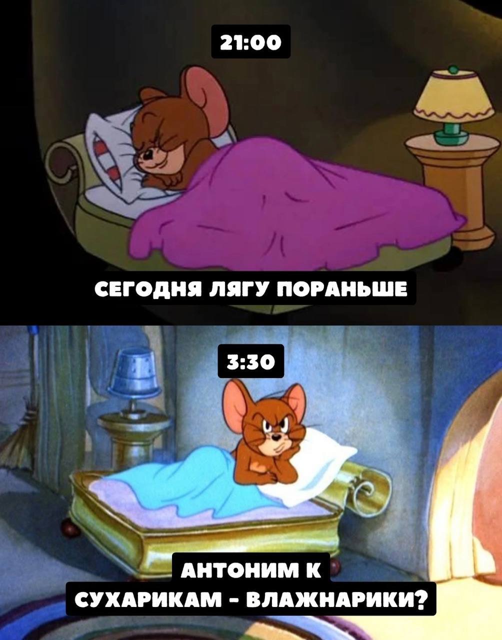 21:00 СЕГОДНЯ ЛЯГУ ПОРАНЬШЕ 3:30 у veal АНТОНИМ К СУХАРИКАМ ВЛАЖНАРИКИ?