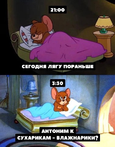 21:00 СЕГОДНЯ ЛЯГУ ПОРАНЬШЕ 3:30 у veal АНТОНИМ К СУХАРИКАМ ВЛАЖНАРИКИ?