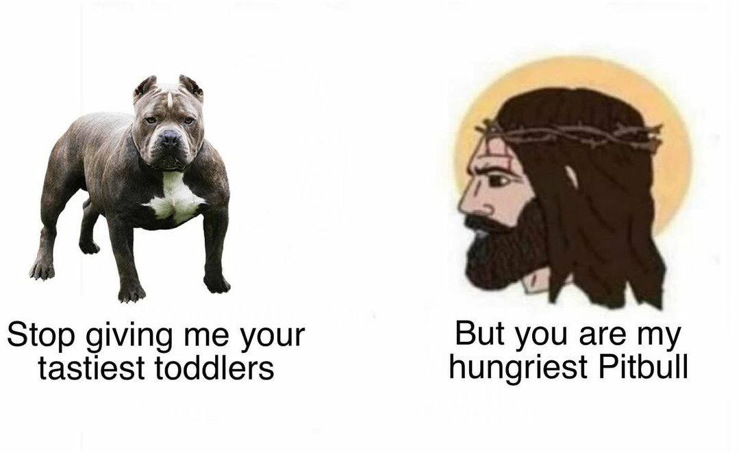 Stop giving me your But you are my tastiest toddlers hungriest Pitbull