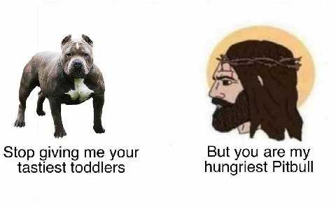 Stop giving me your But you are my tastiest toddlers hungriest Pitbull