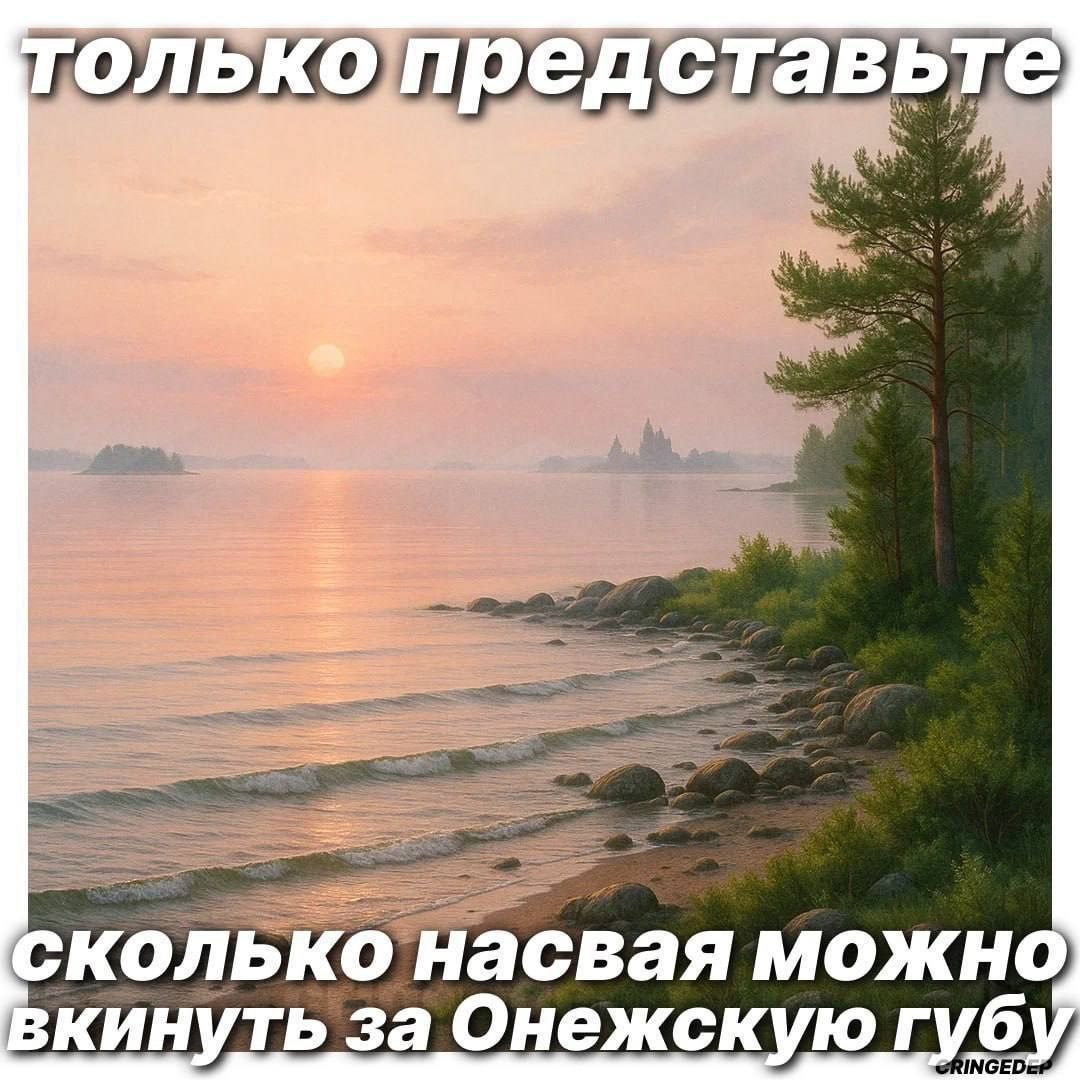 голько представьте сколько насвая можно вкинуть за Онежскую губу,