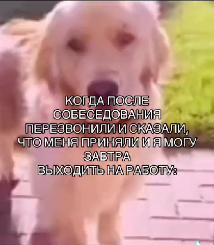 КОГДАТОСЛЕМ СОБЕСЕДОВАНИЯ ПЕРЕЗВОНИЛИИКАЗАЛИ, > ЧПОМЕНА ПРИНЯЛИ МОПУ, КОГДА ОСЛЕ ПЕРЕЗВОНИЛИЙ < KASAI tees ЧТОМЕНЯТРИНЯЛИЙЕИ ESDOM ID HARASOTY:—— КОГДА ПОЛЕ ПЕРЕЗВОНИЛИЙ СКАЗАЛИ, ЧТОМЕЩЯПРИНЯЛИ ИЯ МОГ