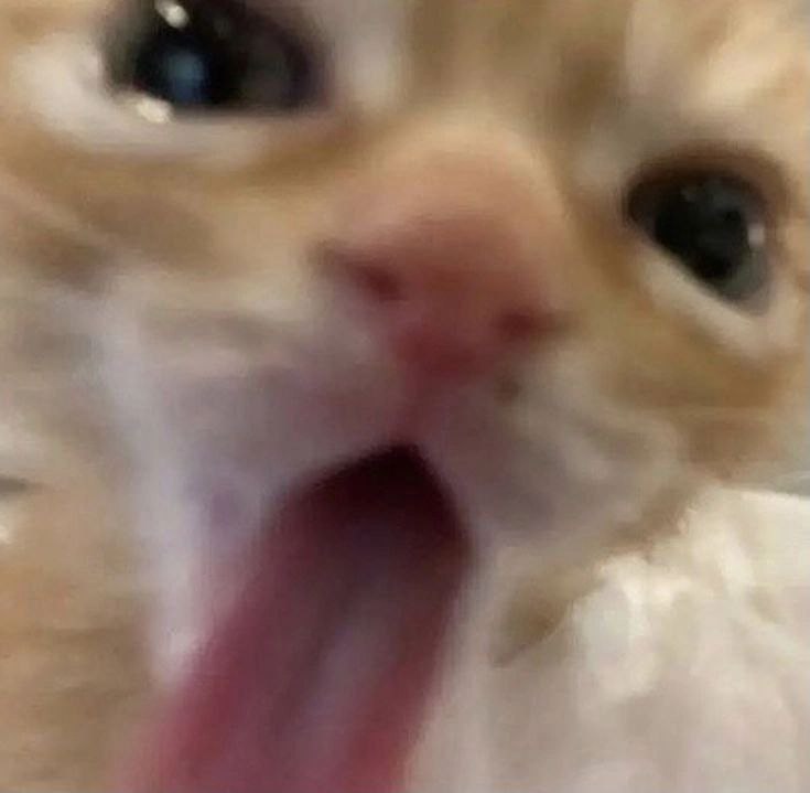 4 2