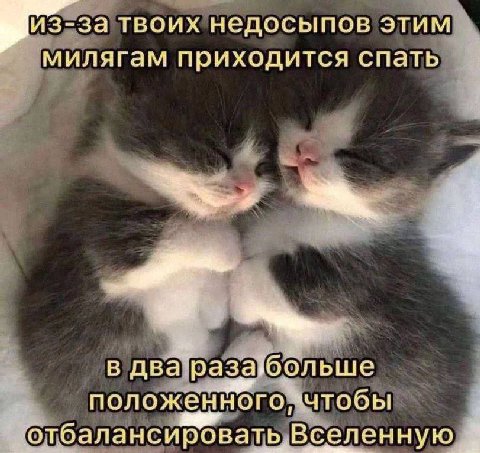 из-за твоих нелосыпов этим милягам приходится спать a в два разаюольше положенного отоалансировать Вселенную