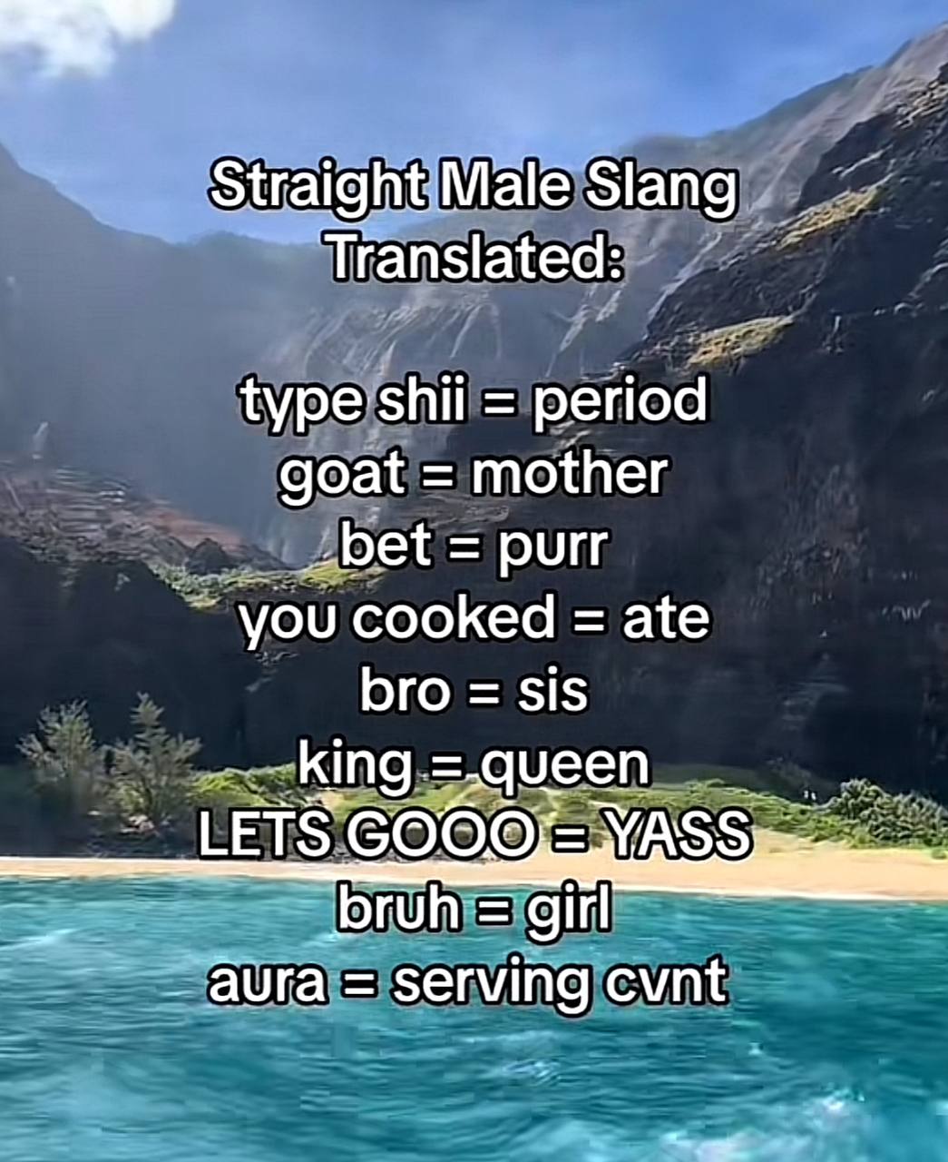 Straight Male Slang Translated: type period goat mother bet purr you cooked ate bro sis _king LETS ASS bruh girl aura serving cvnt