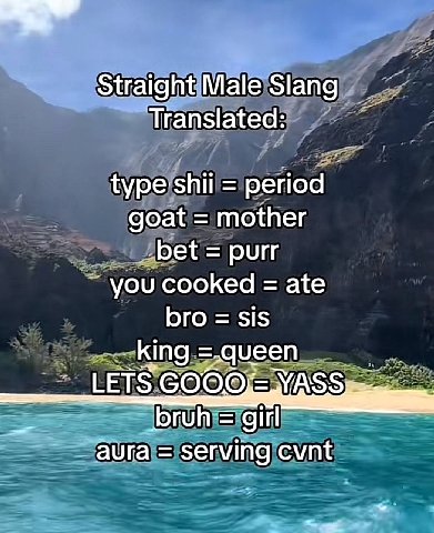 Straight Male Slang Translated: type period goat mother bet purr you cooked ate bro sis _king LETS ASS bruh girl aura serving cvnt
