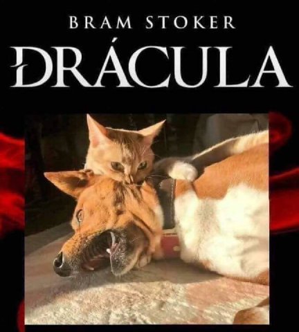 BRAM STOKER DRACULA