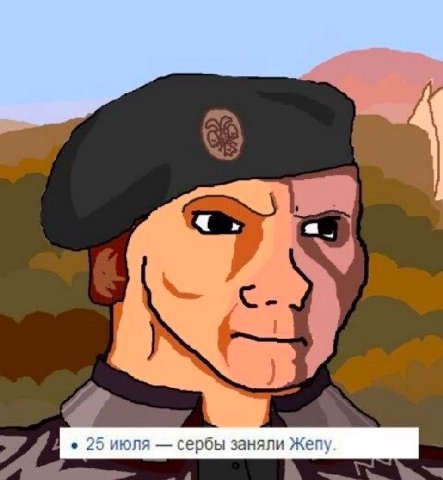 25 июля сербы заняли Жепу