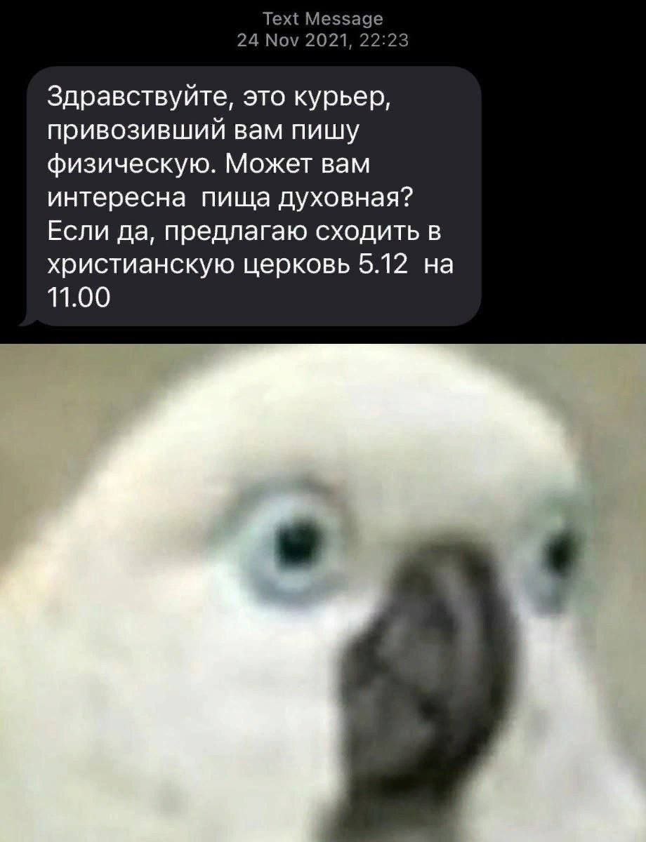 Text Mess 24 Nov 2021 Здравствуйте, это курьер, привозивший вам пишу физическую. Может вам интересна пища духовная? Если да, предлагаю сходить в христианскую церковь 5.12 на 11.00