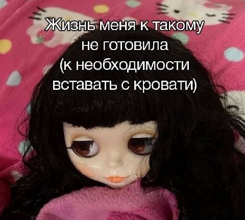 Жизнь меня к такому не готовила (к необходимости вставать с кровати)