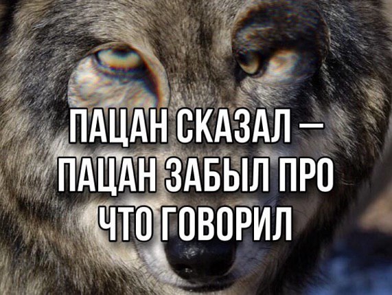 яяRRR