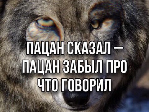 яяRRR