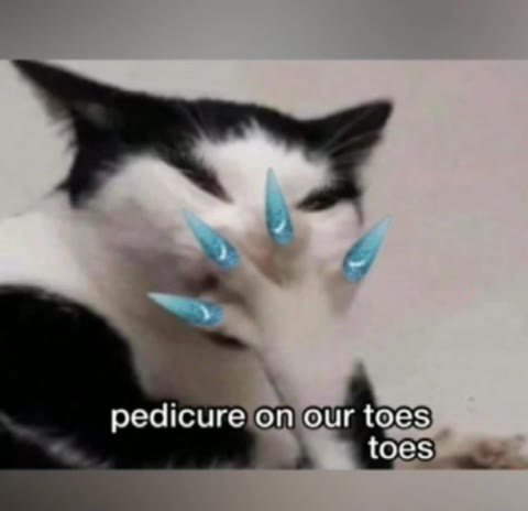 редсигеопТоиг toes