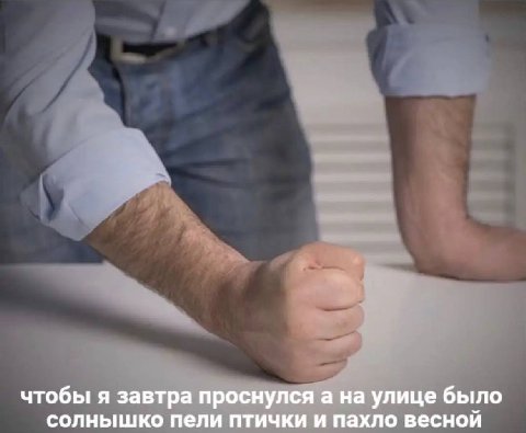 чтобы я завтра проснулся а на улице было солнышко пели птички и пахло весной