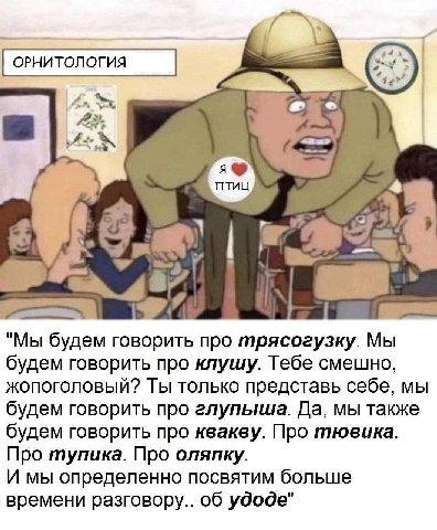 Aan 2: 4 у 2 487 и "Мы будем говорить про трясогузку. Мы будем говорить про клушу. Тебе смешно, жопоголовый? Ты только представь себе, мы будем говорить про глупыша. Да, мы также будем говорить про кв