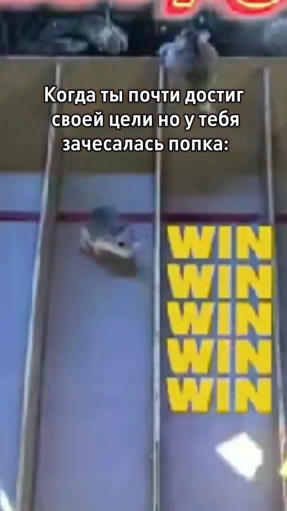 Когда ты почти достив своей целиноутебя зачесалась Когдаты]почти своей цели|но)утебя зачесаласьпопказ