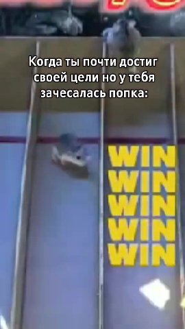 Когда ты почти достив своей целиноутебя зачесалась Когдаты]почти своей цели|но)утебя зачесаласьпопказ