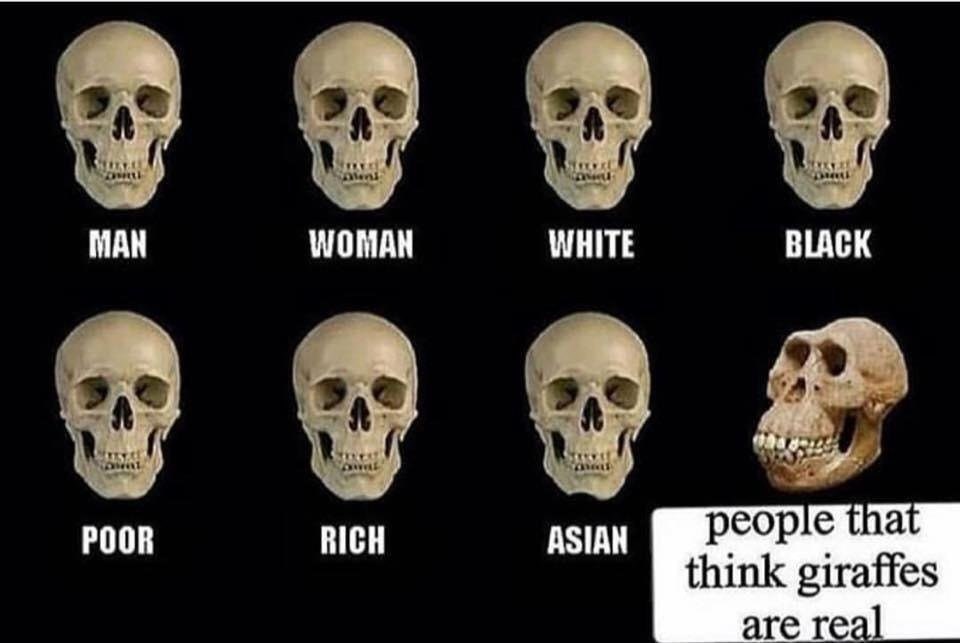 МАН WOMAN WHITE BLACK POOR RICH people tha think giraffes are