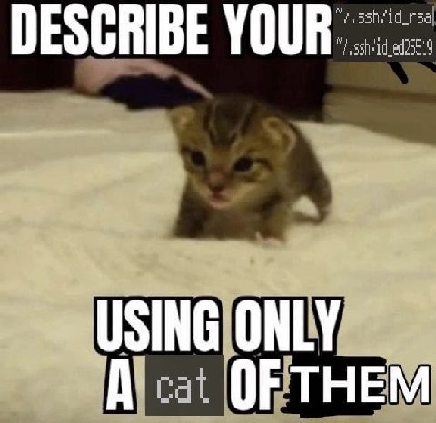 DESCRIBE YOUR USING ONLY