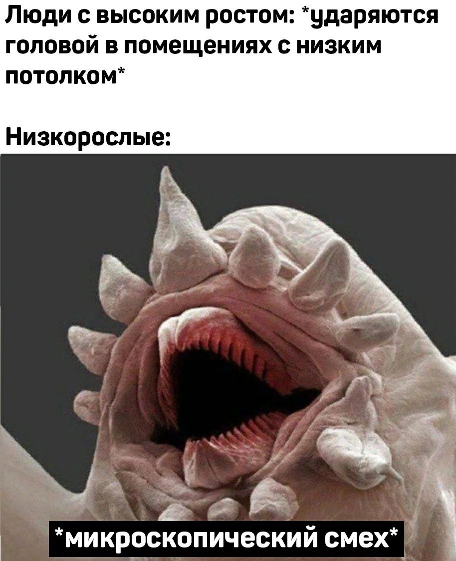 Люди с высоким ростом: *ударяются головой в помещениях с низким потолком* Низкорослые: a 4 3 *микроскопический смех*
