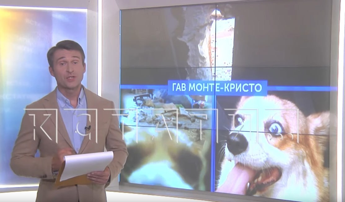 ГАВ МОНТЕ-КРИСТО