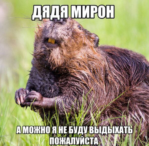 дядя МИРОН” a aN “A Я НЕ БУДУ ПОЖАЛУЙСТА