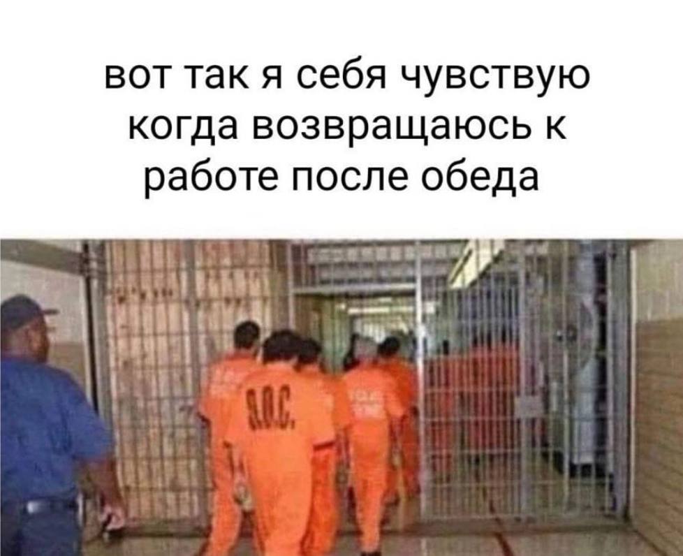 вот так я себя чувствую когда возвращаюсь к работе после обеда