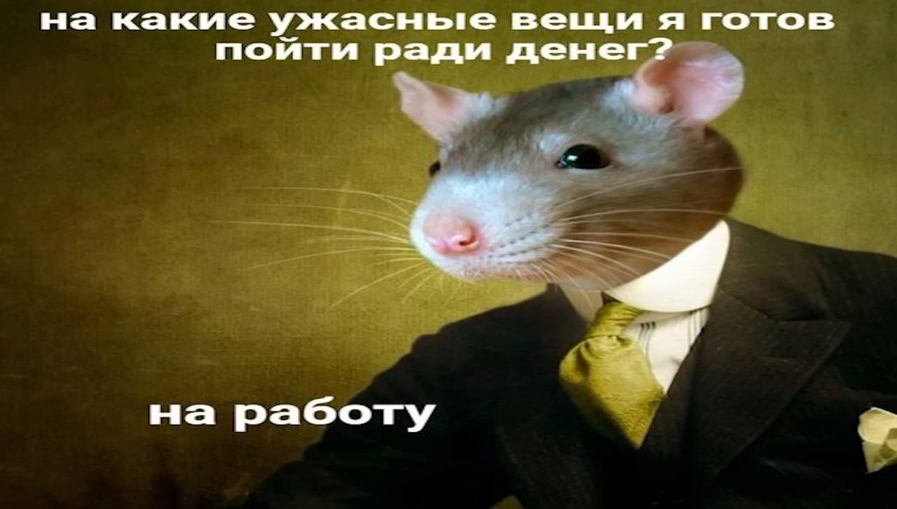 на какие ужасные вещи я готов пойти ради денег? на работу