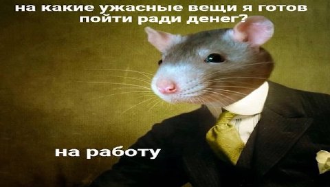 на какие ужасные вещи я готов пойти ради денег? на работу