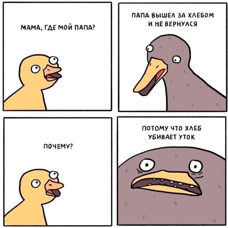 ПАПА ВЫШЕЛ ЗА ХЛЕБОМ И НЕ ВЕРНУЛСЯ МАМА, ГДЕ МОЙ ПАПА? ПОТОМУ ЧТО ХЛЕБ УБИВАЕТ УТОК