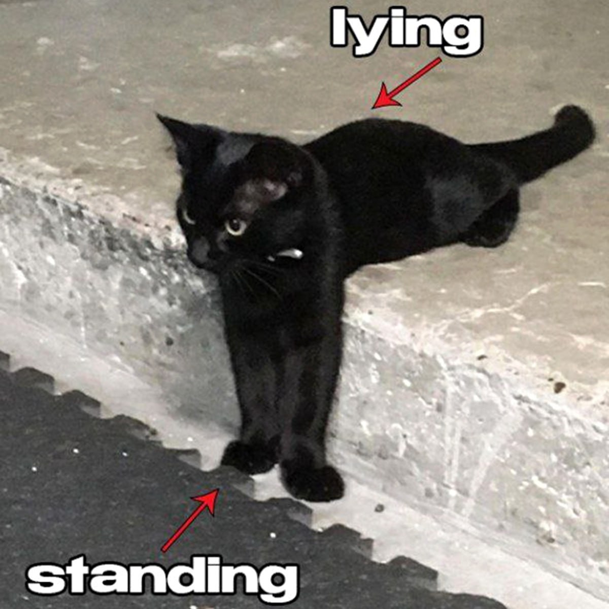 lying 2 standing 3