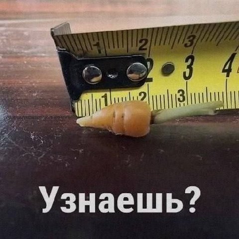 Узнаешь?